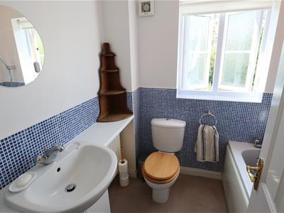 Picture 14